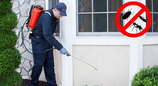 Çukurova Tahtakurusu İlaçlama böcek ilaçlama ve haşere kontrolü — ilaclama-tr.com